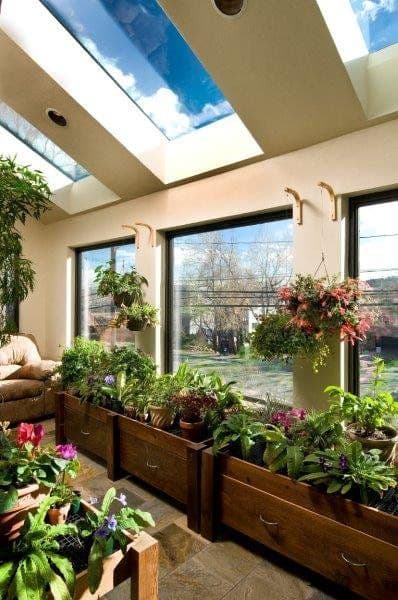 Windows and skylights in a sunroom full of plants.