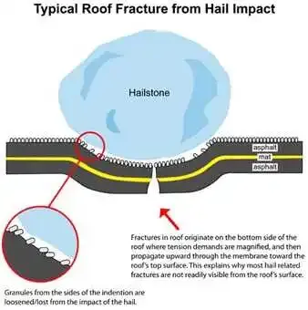 Hail Damage